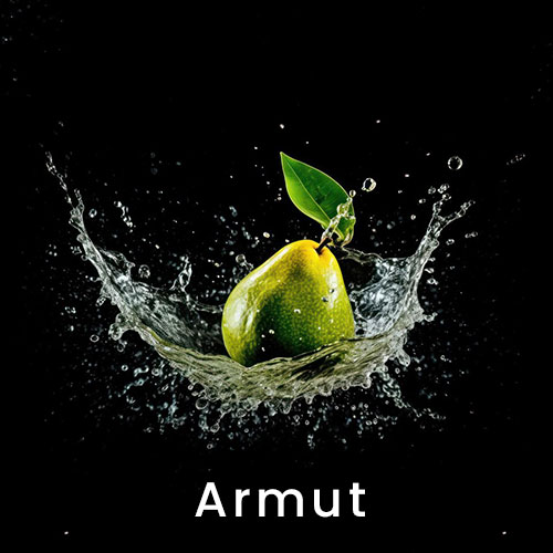armut