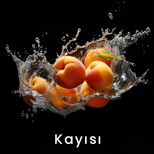 kayısı